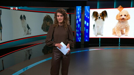 Het NOS Jeugdjournaal